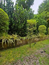 Ridout Road (D10), Detached #565980041